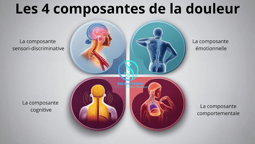Les 4 composantes d ela douleur