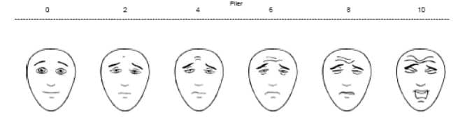 Echelle faciale