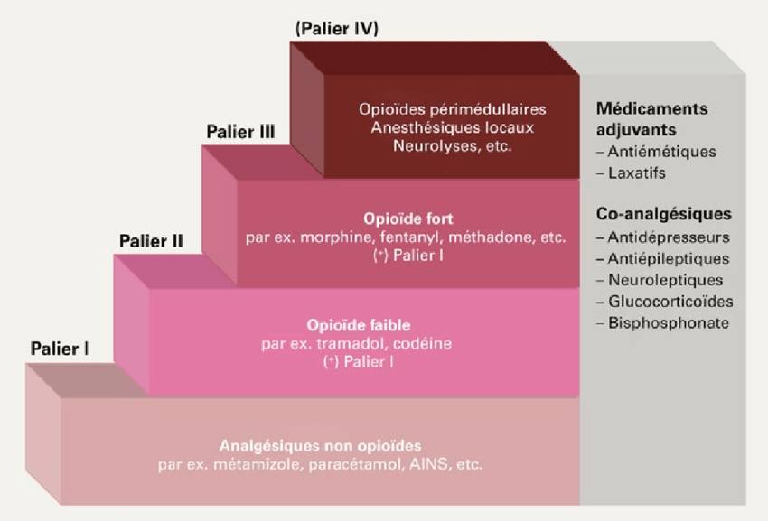 paliers de l'oms